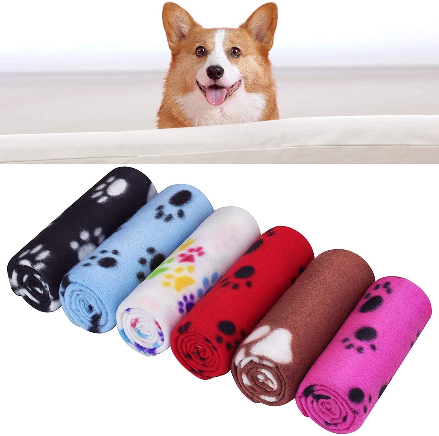 Can You Put A Blanket On A Dog