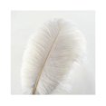 thumbnail image 1 of Plumas artesanales TUNC blancas Decoraciones de plumas de ganso naturales para atrapasueños de bricolaje 5pcs Sencillez, 1 of 5