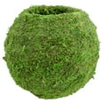 thumbnail image 2 of Arcadia Garden Products 8.5x7.5" Kokedama, Set of 2, 2 of 5