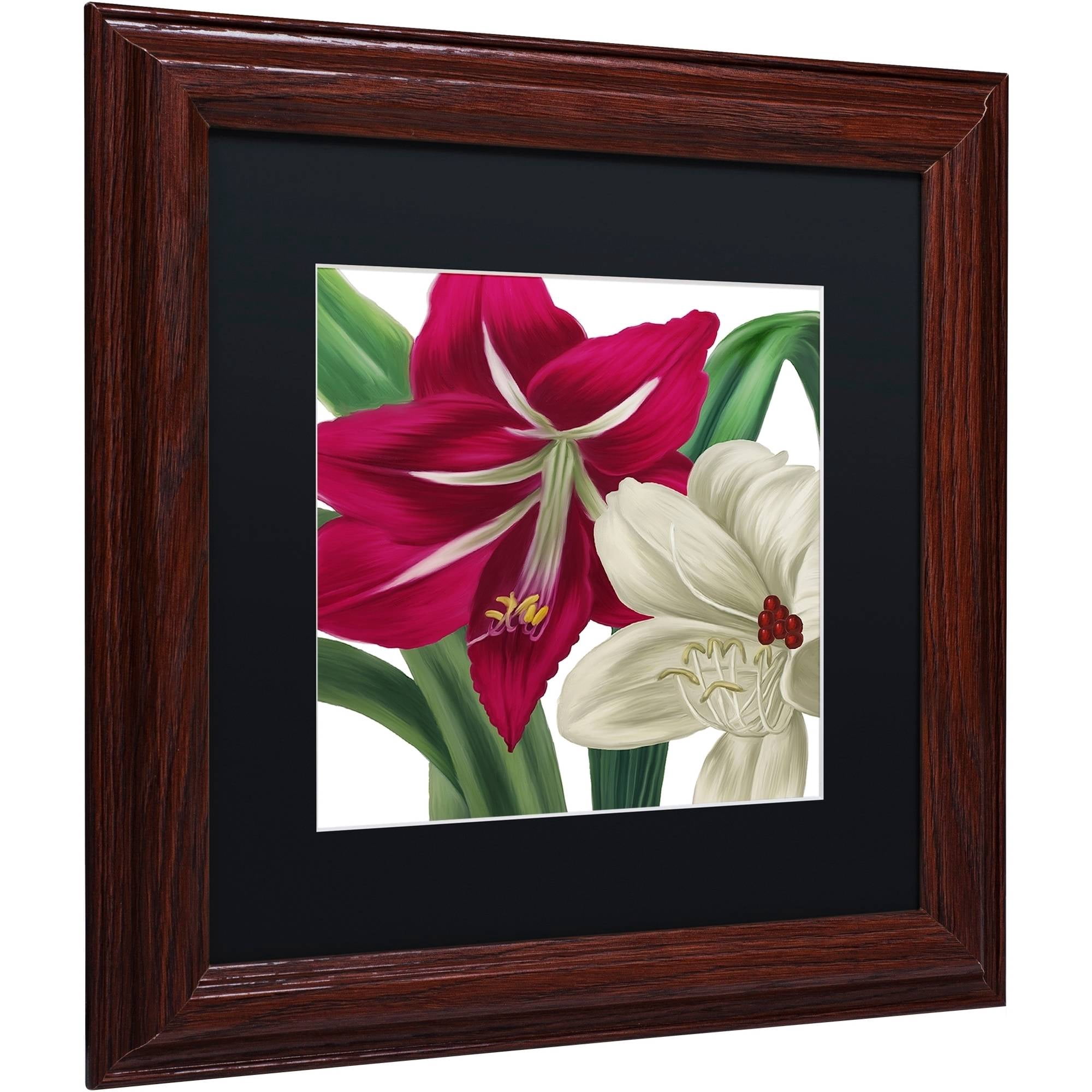Trademark Fine Art "Christmas Amaryllis I" Canvas Art by Color Bakery Black Matte, Wood Frame