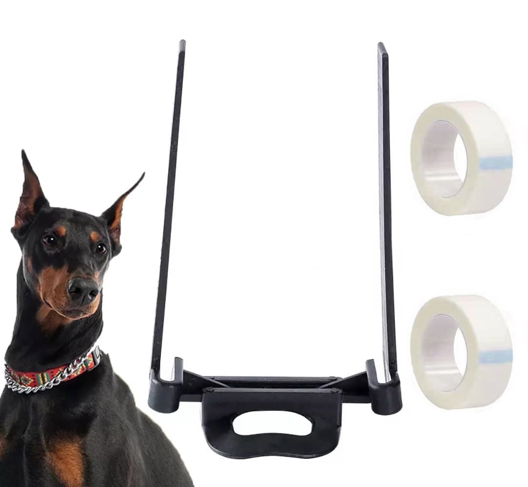 How Do You Tell If Your Dogs Ears Will Stand Up