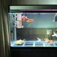 thumbnail image 1 of COMPUKAS Protein Skimmer Para Acuario Con Duradero Y Limpieza Eficiente Para Salada, 1 of 7