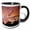 Black/White, variant on 3drose, Image of Dazzling Peach and Blue Sky with Trees in Shadow, 11oz Magic Transforming Mug