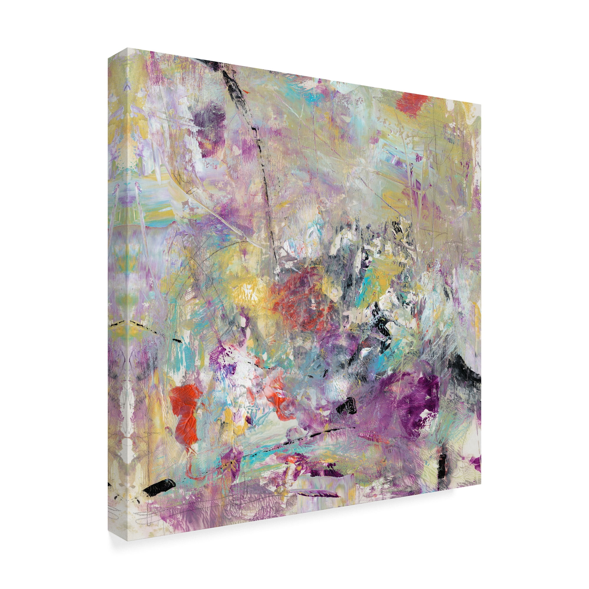 Trademark Fine Art 'Jostle I' Canvas Art by Tim OToole