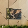 thumbnail image 6 of Wildcat Couple Wildcat Couple Print Animal Wall Art Wildlife Canvas Prints Wall Art Ready to Hang Unframed, 6 of 18