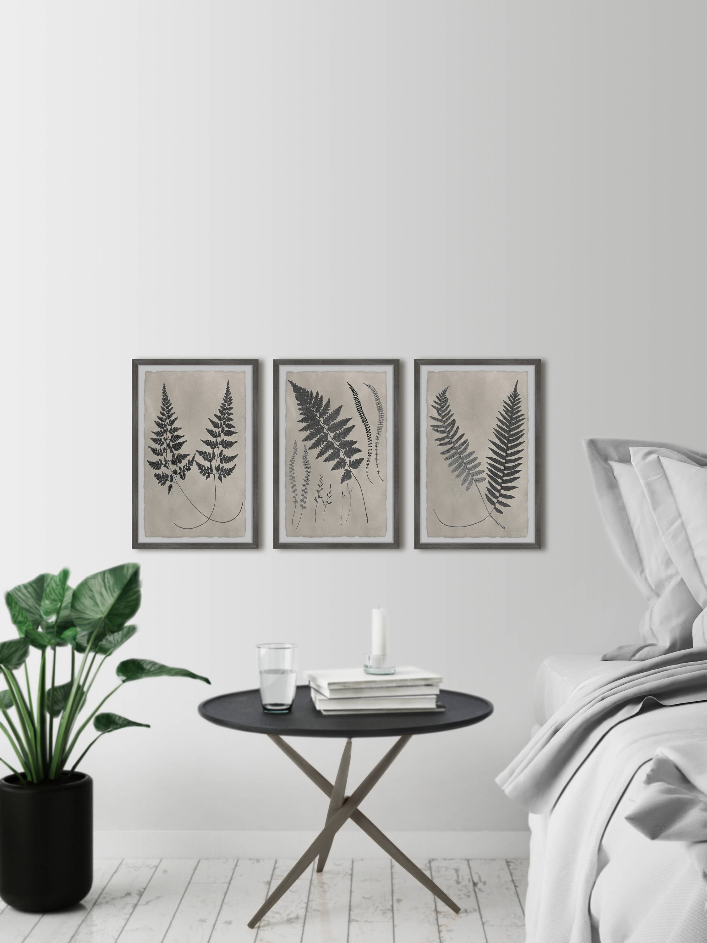 Marmont Hill Vintage Fern Study II Triptych