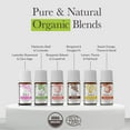 thumbnail image 5 of Pranarom - Aromatic Escapes Diffusion Blend Kit - Enhancing Ambiance with Essential Oils - 100% Pure Essential Oils - Sustainably Sourced, Certified Organic Ingredients - Mediterranean Inspired Scent, 5 of 6