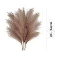 thumbnail image 6 of HESHENG 6PCS Faux Pampas Grass 18" Tall Decor, Small Pompous Artificial Dried Pompas Grass, Fake Pampas Floral , Artificial Flowers Vase Filler, Home Wedding Boho Decor, Brown, 6 of 10