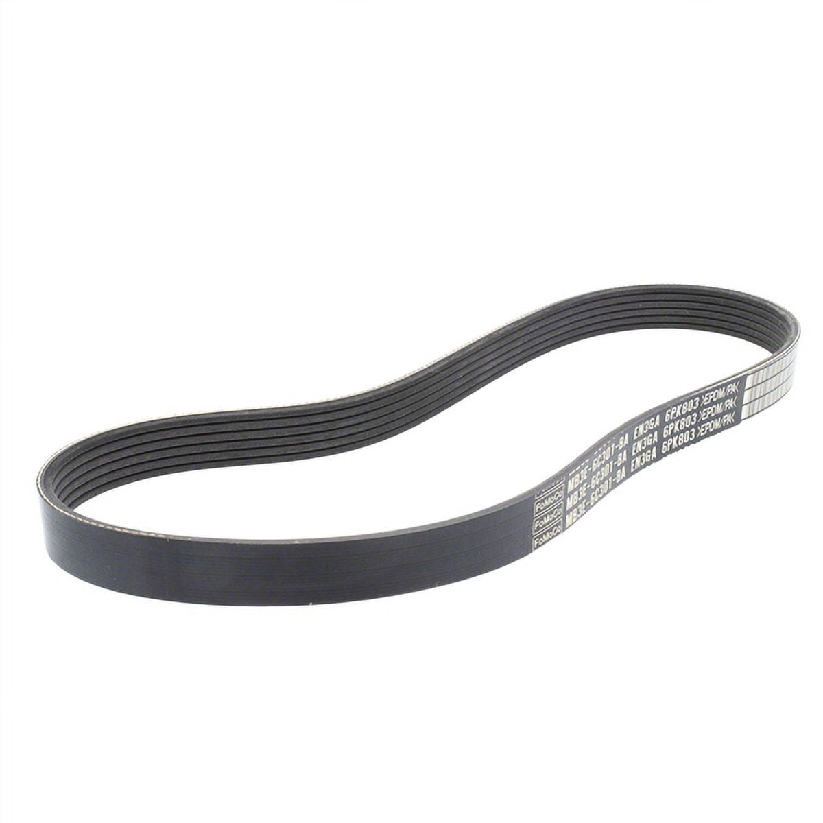 Motorcraft V-BELT (P)