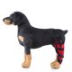 thumbnail image 3 of Abrazadera para la pierna trasera izquierda para mascotas Rodilleras para perros Soporte para la articulación de la pierna izquierda Envoltura transpirable para lesiones R, 3 of 5