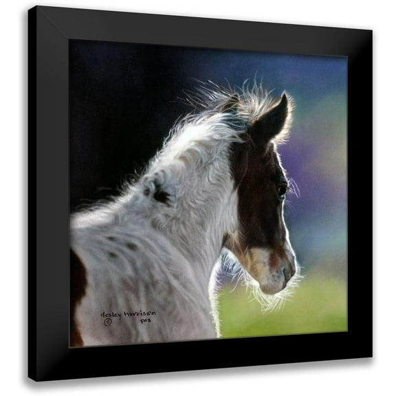 Harrison, Lesley 12x12 Black Modern Framed Museum Art Print Titled - Three Days Old