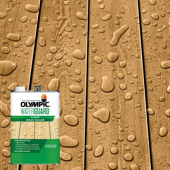 Olympic WaterGuard 1 Gallon Clear Exterior Waterproofing Wood Sealer