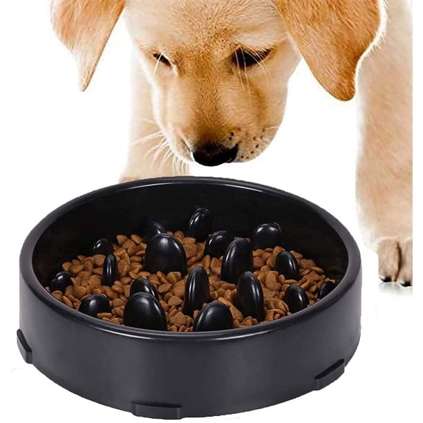 Cuenco de alimentación lenta para perros, cuenco para perros, cuenco de alimentación antideslizante para una ingesta de alimentos más lenta, cuenco de alimentación anti-tragamiento para