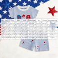 thumbnail image 3 of Toddler Infant Baby Boy USA Independence Day Ice Cream Embroidery Ribbed T-Shirt & Shorts Casual Toddler Outfit 6M 12M 18M 24M 2T 3T 4T, 3 of 6