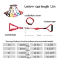thumbnail image 3 of Methold Mini arnés para cerdos, arneses plegables para caminar, correas portátiles resistentes al desgaste de nailon, cinturón de seguridad Tubos y túneles para animales pequeños Negro, 0.6*120 cm S, 3 of 6