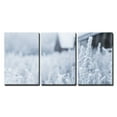 thumbnail image 2 of wall26 - 3 Piece Canvas Wall Art - White Frost on Grasses in The Winter Morning - Modern Home Art Stretched and Framed Ready to Hang - 24"x36"x3 Panels, 2 of 4