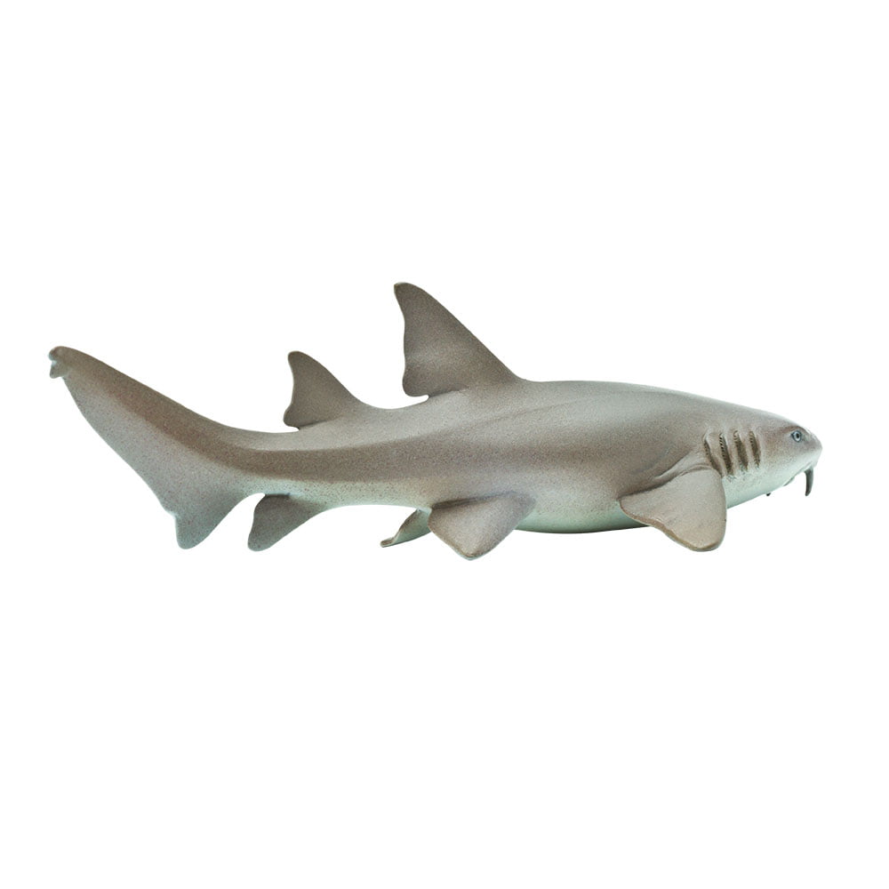 Mako Shark Realistic Hand Painted Toy Figurine Model Quality Safari Ltd 
