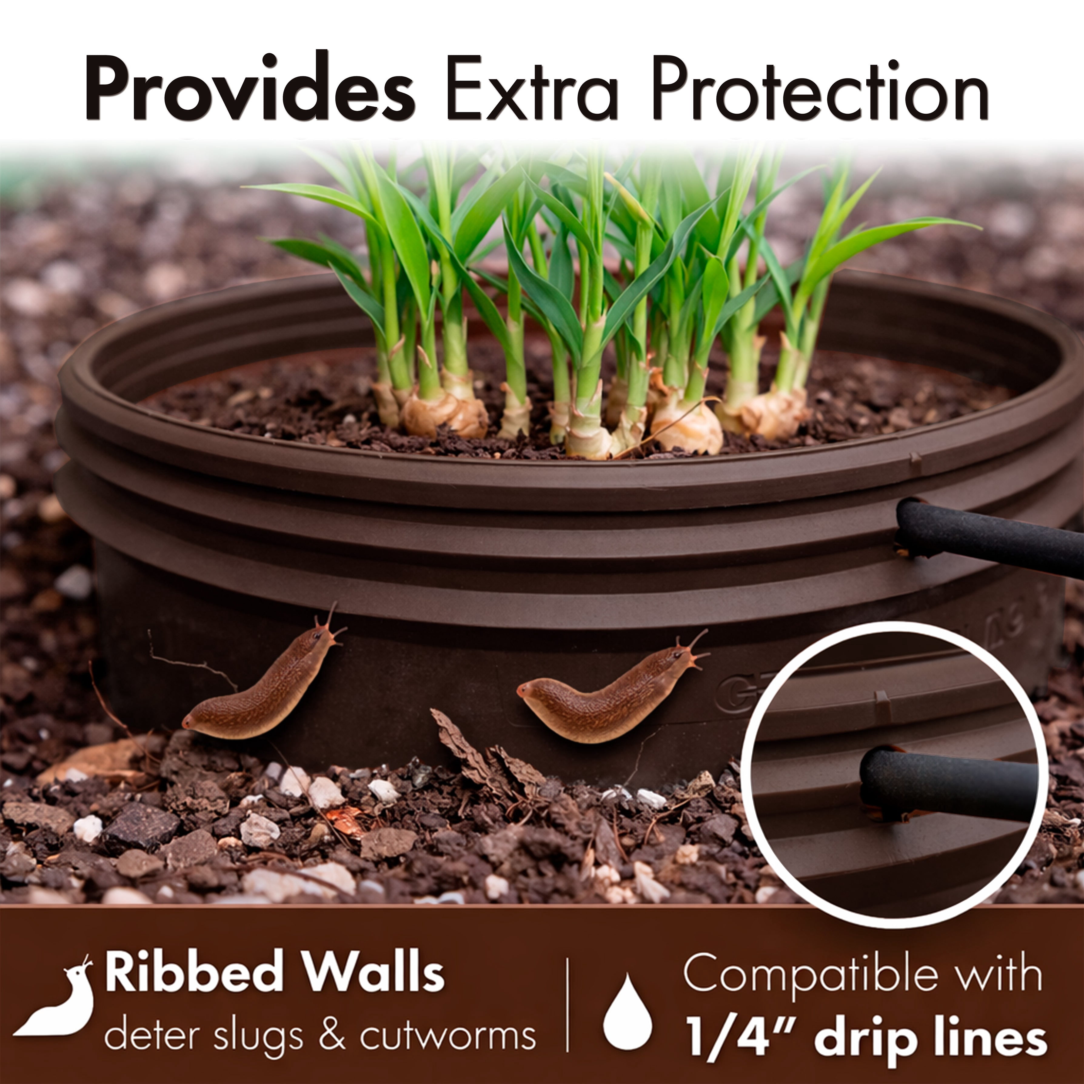 Rooted Promise 7 inch Solid Planting Grow Rings, Perfect for Deep Watering Veggies Herbs and Flowers, Protection and Edging of Garden Plants, Brown, Made in The USA - Pack of 4