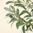 thumbnail image 2 of Nafresh 8FT Tall and Fuller Style Artificial Olive Tree, Realistic Faux Olive Plant for Indoor Décor, 2 of 6