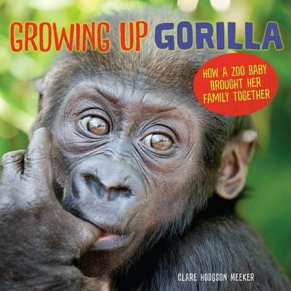Growing Up Gorilla: How a Zoo Baby Brought Her Family Together, (Hardcover)