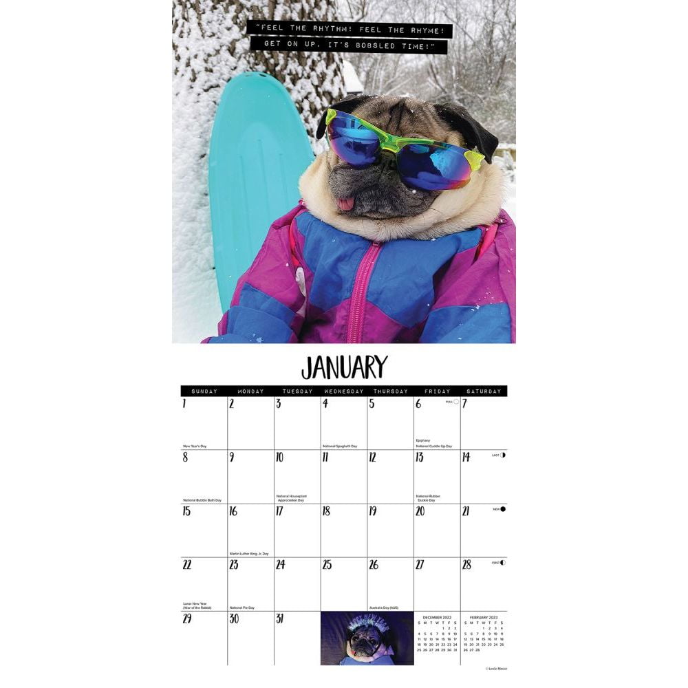 Doug the Pug 2023 Wall Calendar (Other) - Walmart.com doug-the-pug-2023-wall-calendar-other-walmart-com