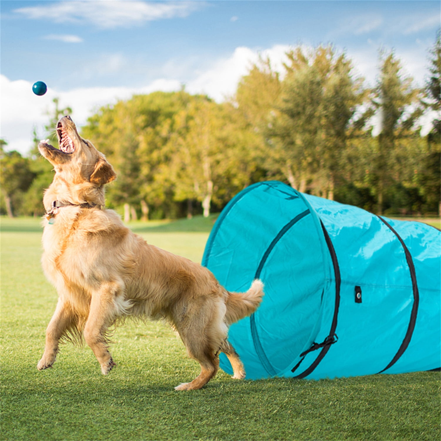 Pefilos 18' Cat Tunnel for Adult Cats Agility Training Tunnel Pet Dog Play Cat Tunnel for Large Cats Outdoor Obedience Exercise Equipment Cat Tunnel for Outside, Blue Pefilos 18' Cat Tunnel for Adult Cats Agility Training Tunnel Pet Dog Play Cat Tunnel for Large Cats Outdoor Obedience Exercise Equipment Cat Tunnel for Outside, Blue