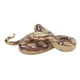 thumbnail image 1 of Simulation Snake Versatile Snake Pranks Toy Washable Realistic for Kids for Garden, 1 of 7