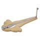 thumbnail image 1 of WEUVEB Handcrafted Jaw Harp Golden Bright Tone Portable Mouth Instrument for Beginner Cultural Music, 1 of 7