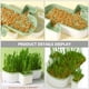 thumbnail image 5 of Caja de siembra de hierba gatera con semillas de menta, bandejas de propagación y germinación, maceta para germinar semillas de hierba gatera, vivero para plántulas, refrigerio hidropónico (2, 5 of 6