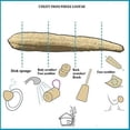 thumbnail image 2 of Heldig Large Whole Natural Loofah Vegetable Dish Scouring Pad for Kitchen Bath Sponge Body Exfoliating Scrubber Shower Lufa Loofa Luffa Cellulose Biodegradable Compostable Zero Waste WasherB, 2 of 5