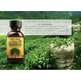 thumbnail image 3 of Humco 481791001 100% Pure Australian Tea Tree Oil, 1-PACK, 3 of 3