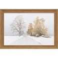 thumbnail image 1 of Art N2068 North American Art 39 x 25 Po Automne Neige Encadrée Impression, 1 of 1