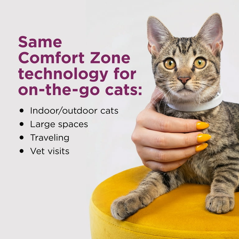 Comfort zone for cats hot sale