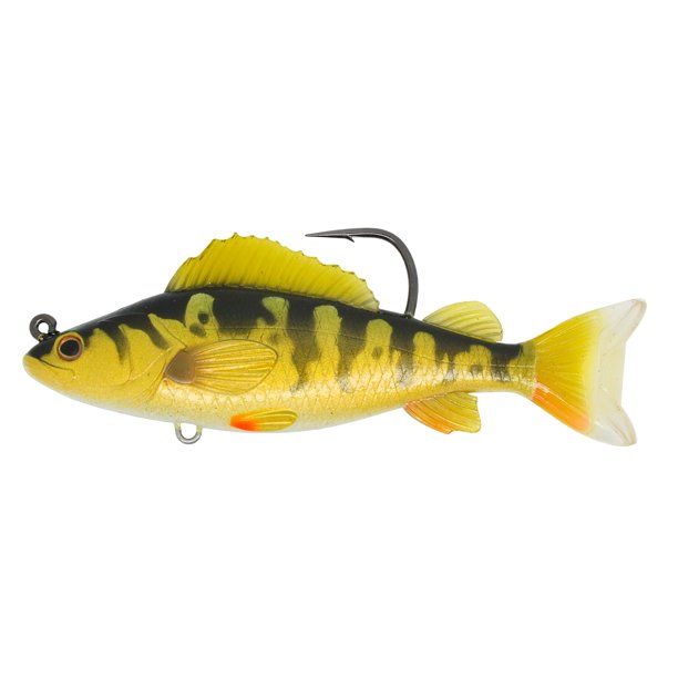 Yellow Perch