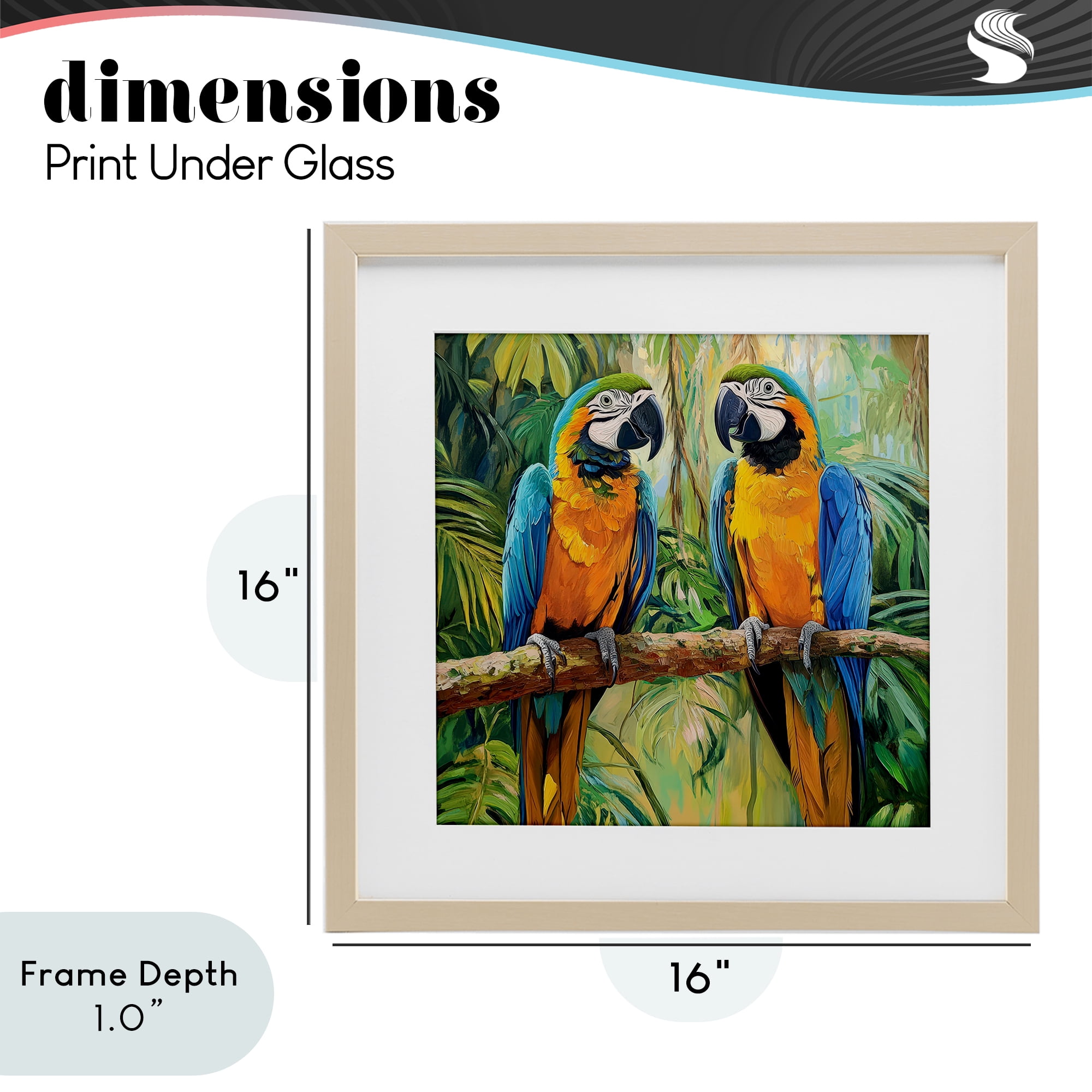 Stupell Industries Two Macaws Among Foliage Birch Framed Print Under Glass, design by Petal Prints Design