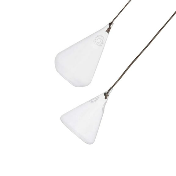 2 Pcs Decorative Vase Hanging Glass Bottle Water Plant Containers Plant Terrarium Plant Vase Hanging Flower Vase