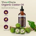 thumbnail image 2 of Viva Doria Organic Castor Oil, 4 Fl Oz | Virgin, Cold Pressed, Hexane-Free, Vegan | Nourishing Hair & Skin Care | Eyelash & Brow Serum | Glass Bottle with Dropper Top, 2 of 8