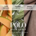 thumbnail image 4 of Set de fragancias RALPH LAUREN FRAGRANCES World of Polo Discovery, 4 of 4