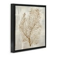 thumbnail image 3 of Stupell Industries Beige Tides Botanical Black Framed Floater Canvas Wall Art design by Hannah Dawson, 25 x 25, 3 of 9