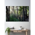 thumbnail image 2 of Fantasy Forest Poster Wall Art, Modern Wall Decor, 12x18 UNFRAMED, 2 of 3