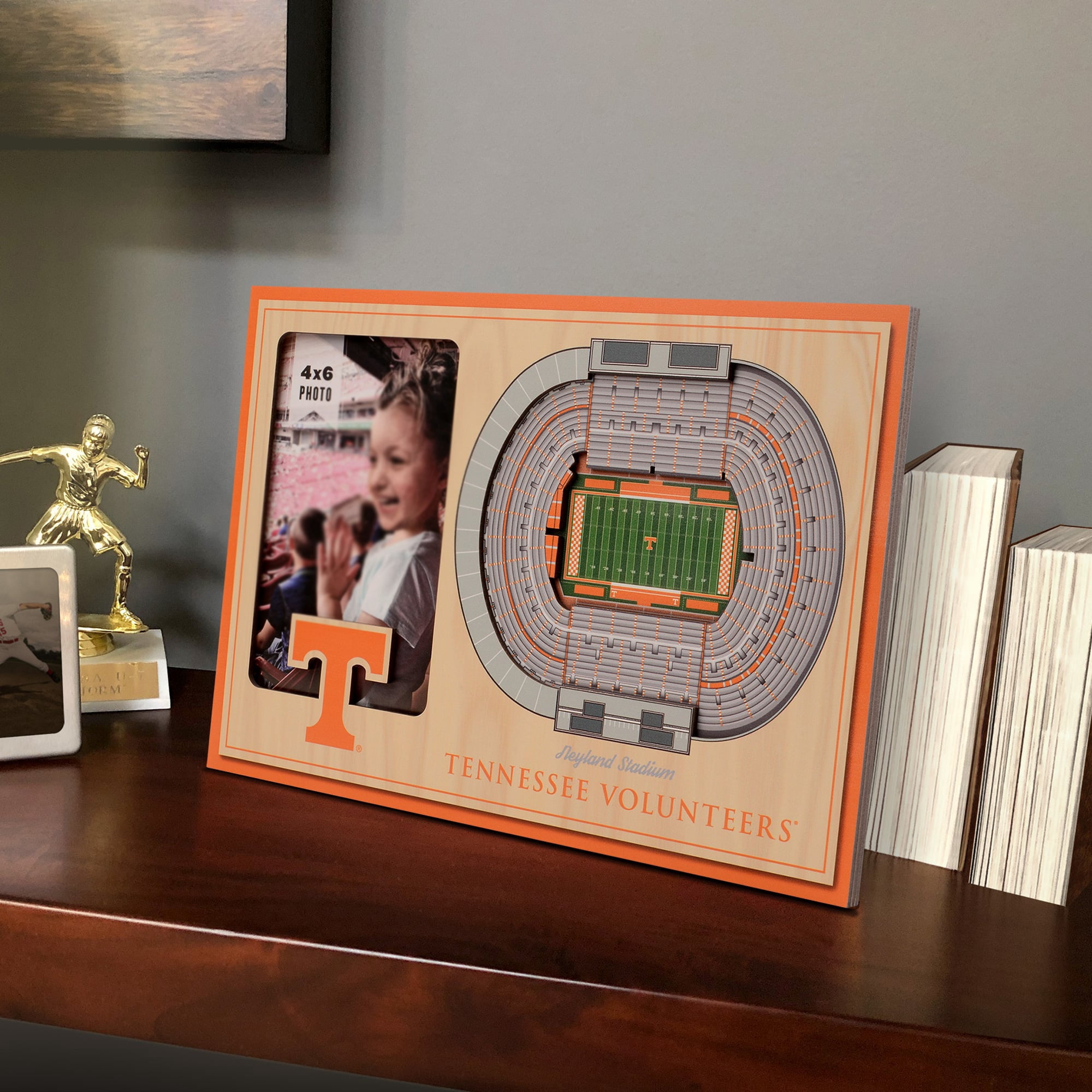IDNA Tennessee Volunteers 3D StadiumViews Picture Frame