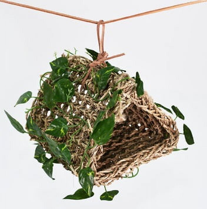 Penn-Plax Reptology Lizard Lounger Hanging Hideout with Vines, 100% Real Coconut and Natural Seagrass