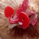 thumbnail image 4 of GAXIRE 100Ud Gafas Para Gallinas De Plástico Rojas Con Protección Anti Picoteo Para Granjas, 4 of 6