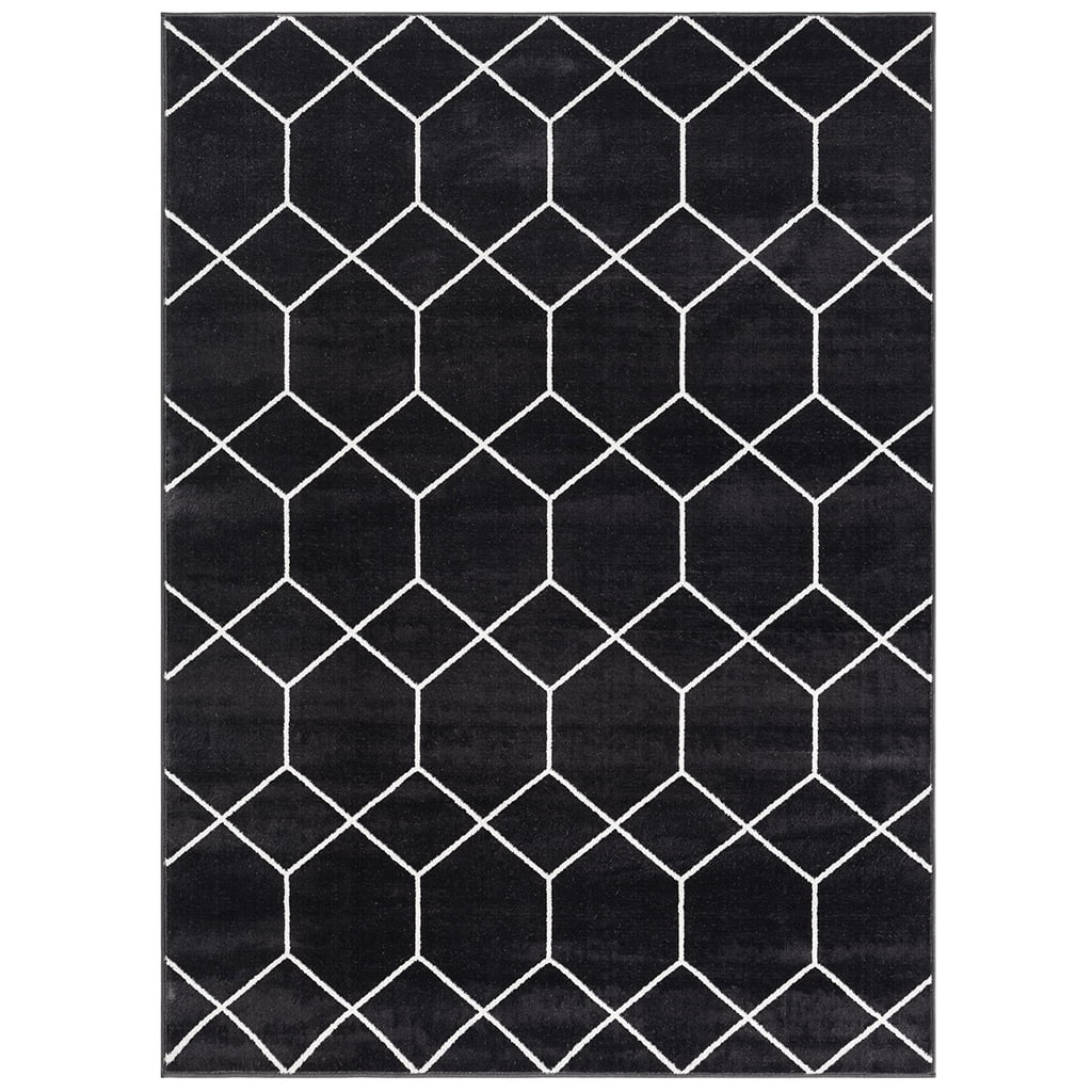 MAYEERTY 8'x10' Geometric Woven Area Rug for Living Room Bedroom