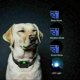 thumbnail image 5 of Collar de entrenamiento para perros Aleko de 300 metros con niveles de vibración y golpes 100% impermeables ACTIVE Biensenido a ACTIVE, 5 of 5