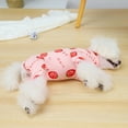 thumbnail image 4 of SPRING PARK Cartoon Print Dog Jacket Girl Puppy Clothes Hair Shedding Cover Doggie Oneies Cat Casual Doggy Cotton Four-legged Coat for Autumn, 4 of 7