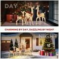 thumbnail image 5 of Light up Deer Family Set of 3, Outdoor Christmas Decorations, 63"/52"/37" Gold Reindeer with 210 Warm White LED, Christmas Deer Woven Rattan Deer with Bows, Indoor Outdoor Yard Lawn Xmas Decor, 5 of 10