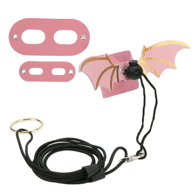 Lizard Leash,Adjustable Lizard Leash Bearded Lizard Bearded Dragon Harness Leash Lizard Leashfor Reptiles Best in Class