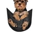 thumbnail image 5 of Juguete colgante para coche Wdftyju adorno interior perro, 5 of 6