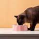 thumbnail image 2 of Cuencos de cerámica para gatos, platos pequeños de comida para gatos para gatos de interior, cuencos para comida y agua para gatos/perros,, 2 of 4
